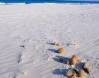 /