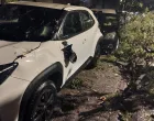 Olujno nevrijeme zahvatilo Mostar, počupano drveće i oštećeni automobili/Roland Grabovac