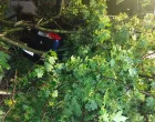 Olujno nevrijeme zahvatilo Mostar, počupano drveće i oštećeni automobili/Roland Grabovac