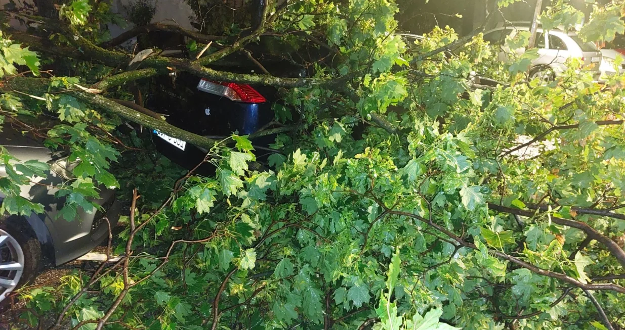 Olujno nevrijeme zahvatilo Mostar, počupano drveće i oštećeni automobili/Roland Grabovac