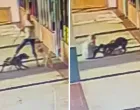 Starica je hrabro branila svog psa/Facebook