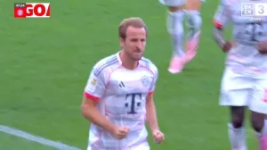 Harry Kane/Foto: 