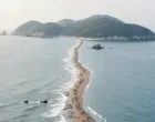 Čudo Džindoa u Južnoj Koreji/Instagram