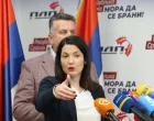 jelena trivić/