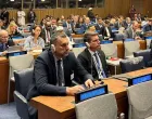 elmedin konaković, globalna alijansa, new york/