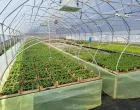 Savremeni plastenik automatizovani plastenik/Министарство пољ