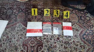 U akciji su zaplijenjene fotografije i video materijal/MUP RS/