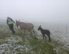 Snijeg se već počeo hvatati po tlu/Facebook/