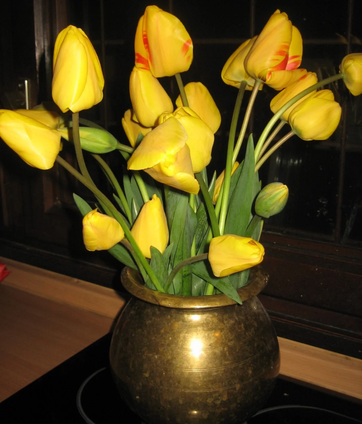 Tulipani u vazi/