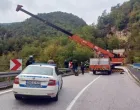 Započeta pretraga/Srna//