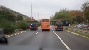 Modri u Srbiji/Foto: 