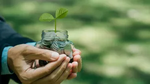Zelene investicije ilustracija/