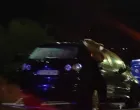 ubistvo bobana sjekloće crna gora, tijelo nađeno u autu Screenshot/Screenshot