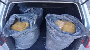 Oduzet duhan/UiO BiH/