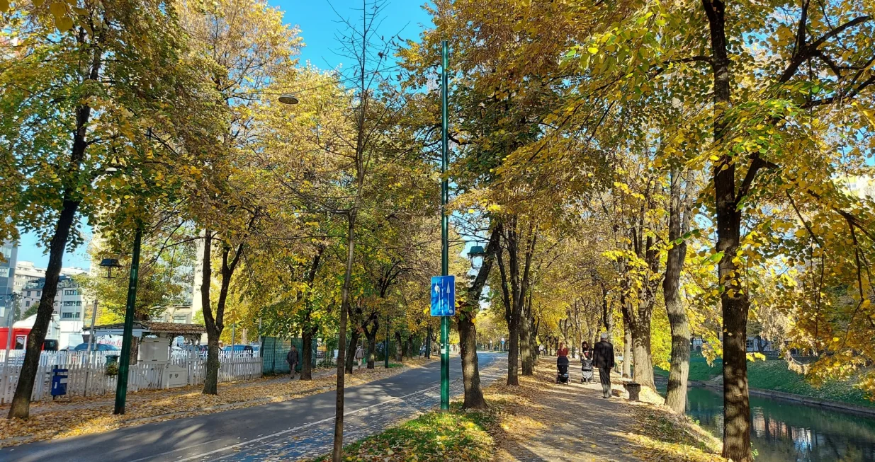 sunce vils jesen/