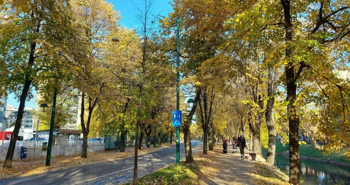 sunce vils jesen/