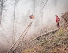 Teška mašina, transport drvne građe, drvo, šuma, radnici/Krone.at