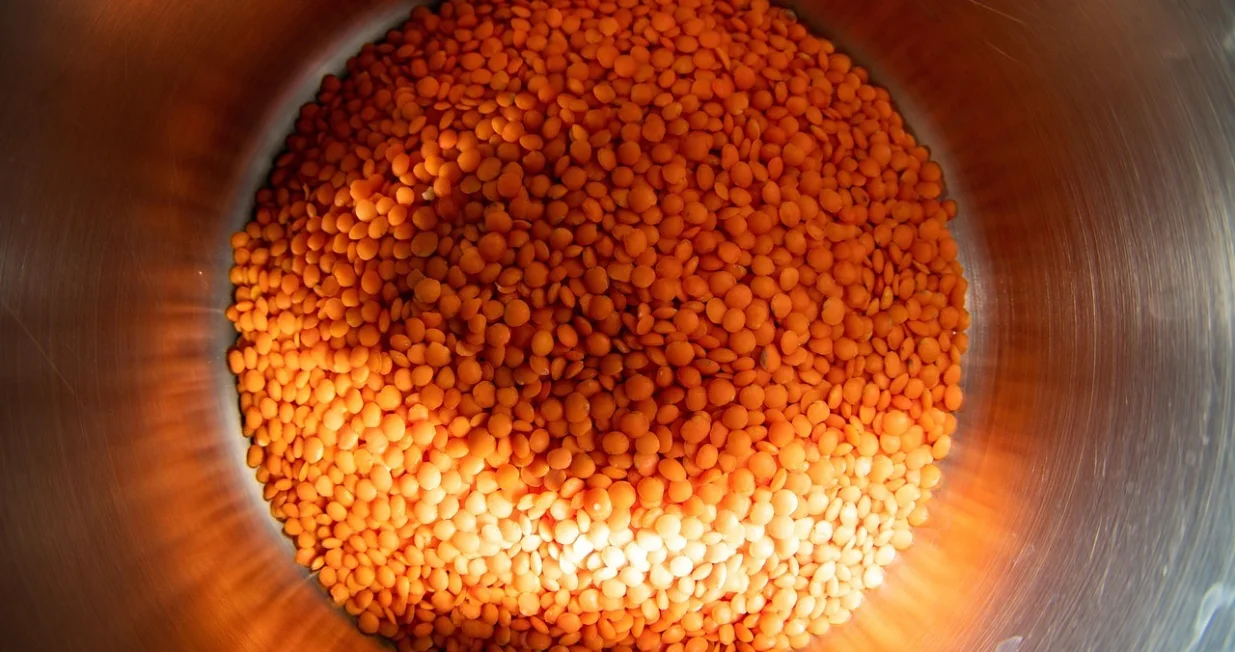 proteinska lepinja/