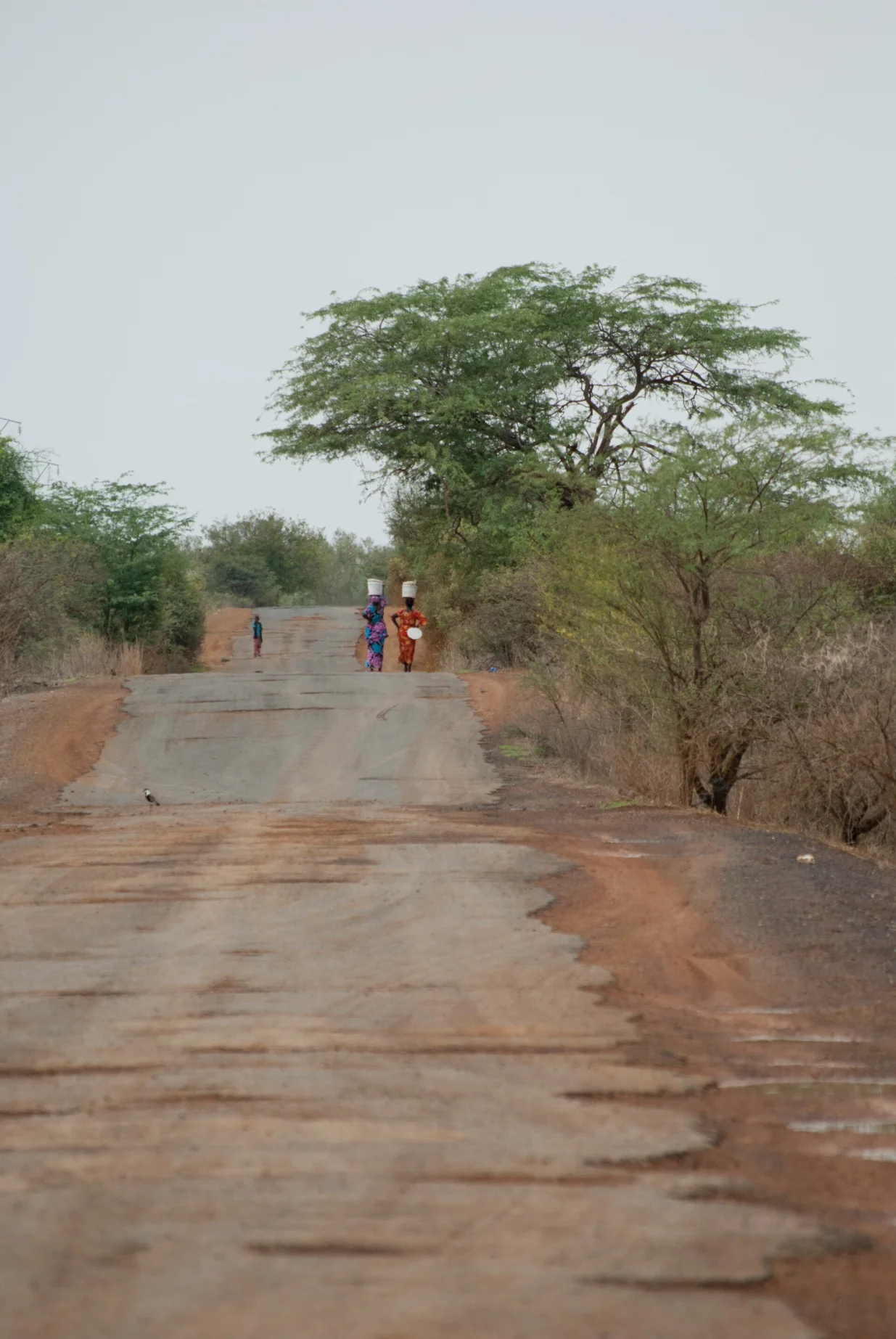 Turkana/Unsplash