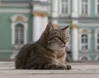 Čuvarice muzeja/