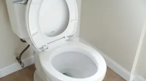 WC šolja nije kanta za smeće/Unsplash