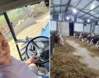 Zineta Memić, farma krava, Cazin/Agroklub.ba