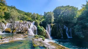 Milančev buk u Martin Brodu/