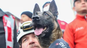 Posebno obučeni psi, koji su uzeli aktivnu ulogu u akcijama traženja i spašavanja nakon razornih zemljotresa u Turkiye, spasili su mnoge živote ispod ruševina (Ozan Efeoğlu - Anadolu Agency)/�