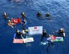 FOTO: Foto: Ali Rıza Akkır/AA/Foto: