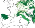 mapa, predator, vuk, evropa, rasprostranjenost/Screenshot