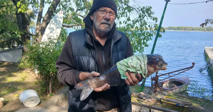 Steva Petrović/Fb