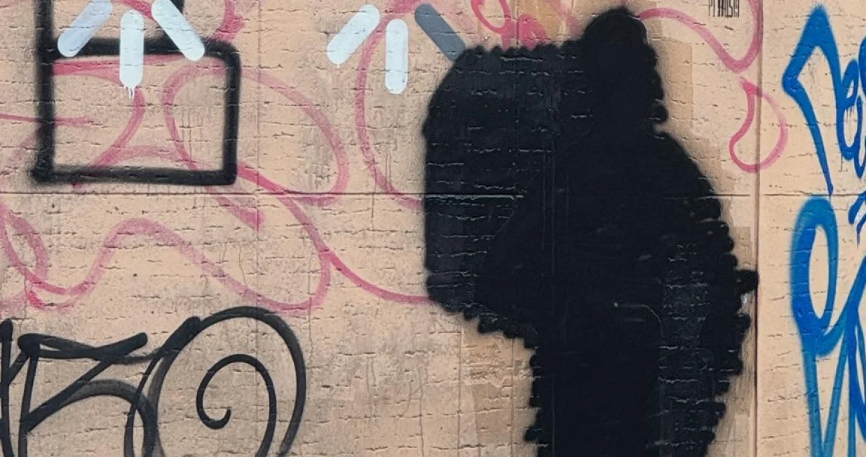 Prekrečen mural Novaka Đokovića/Foto: 