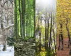 godišnja doba/Lovily