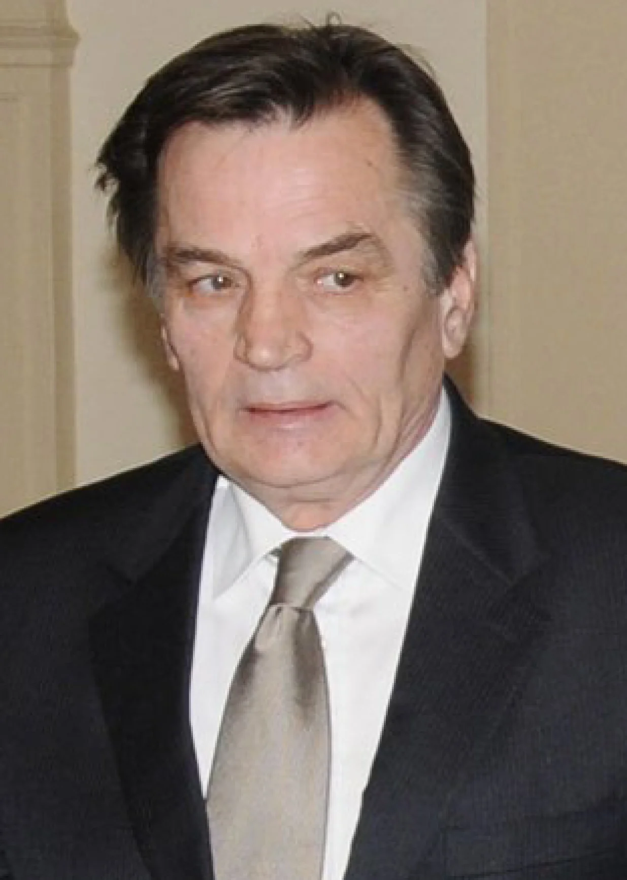 Visit by ?tefan F?le, Member of the EC in charge of Enlargement and European Neighbourhood Policy to the Western Balkans with, from left to right: Haris Silajd?ic, President of Bosnia-Herzegovina, ?tefan F?le and Neboj?a Radmanovic, Serbian Member of the Presidency of Bosnia-Herzegovina/Dado Ruvic