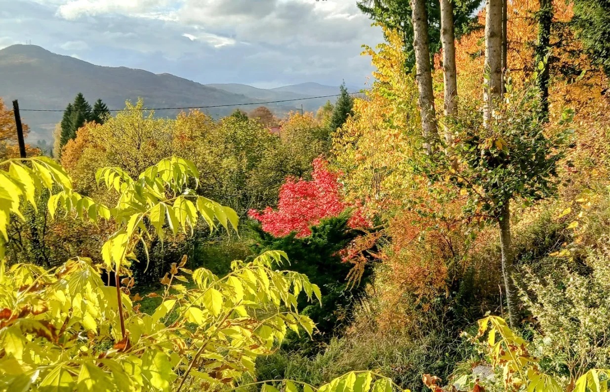 Jesenje izdanje Aninon vrta/