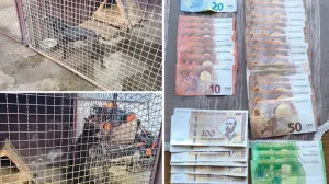 Oduzeti novac i dva psa/MUP RS//