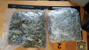 Oduzeta droga/FUP//