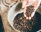 kafa, cijene kafe, kafa u zrnu/Unsplash/Unsplash