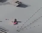Pljačka, patike, krađa/Prtsc