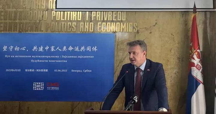 Aleksandar Mitić//