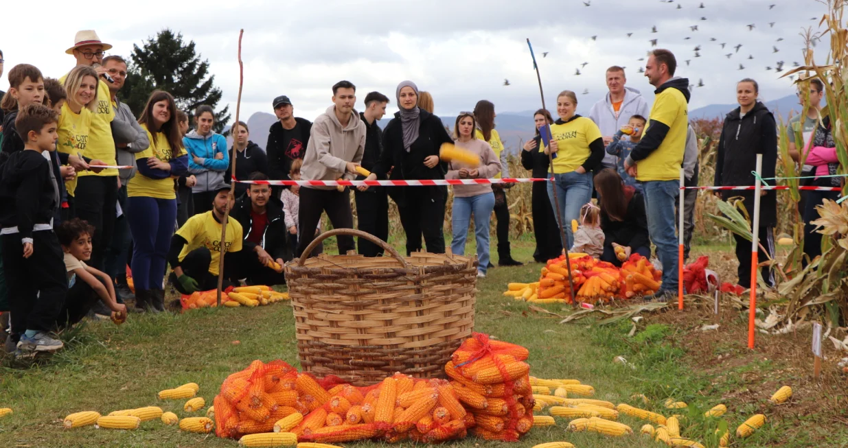 Na oglednom poligonu Poljoprivredno-prehrambenog fakulteta Univerziteta u Sarajevu u Butmiru proteklog je vikenda održano četvrto izdanje međunarodnog takmičenja Catch a Corn./Don Cadron