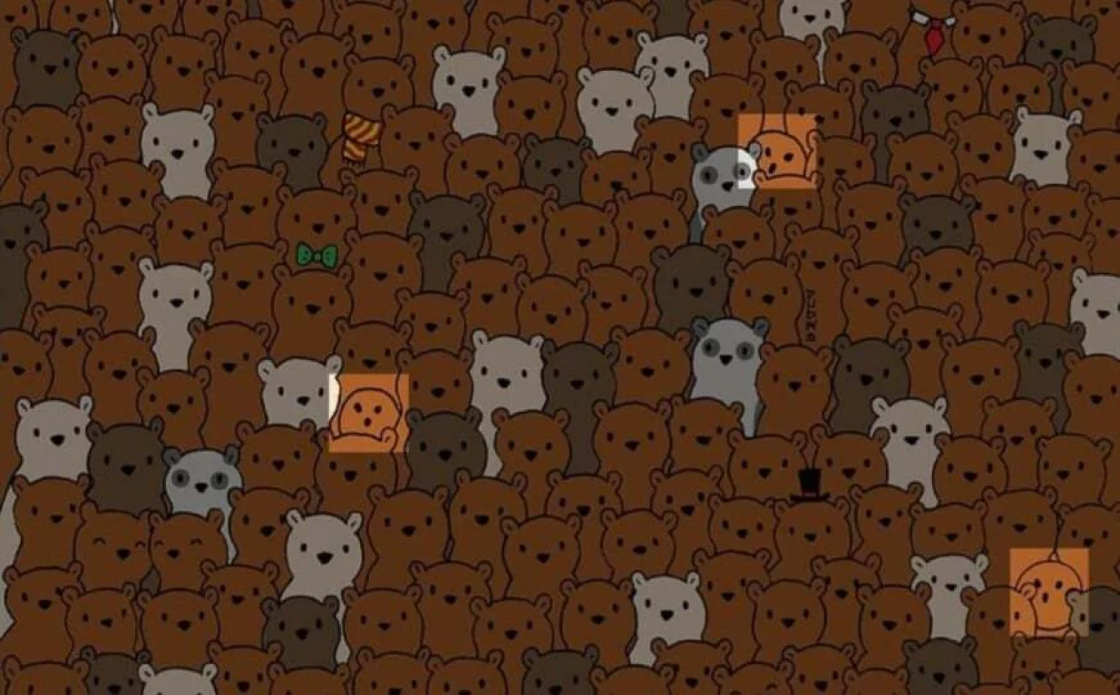 Rješenje mozgalice/Studomat