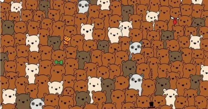 Možete li pronaći tri kokosa?/Studomat