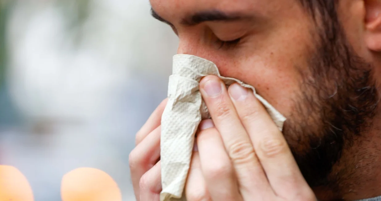 Prehlade ilustracije/Damir Deljo