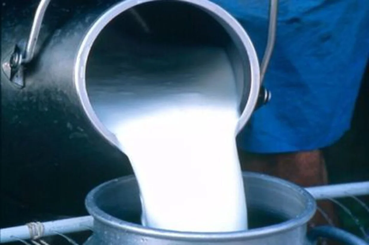 Mlijeko otkup mlijeka/