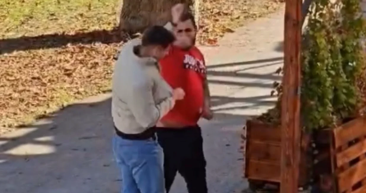 Novo Mesto, tuča, napad/Prtsc