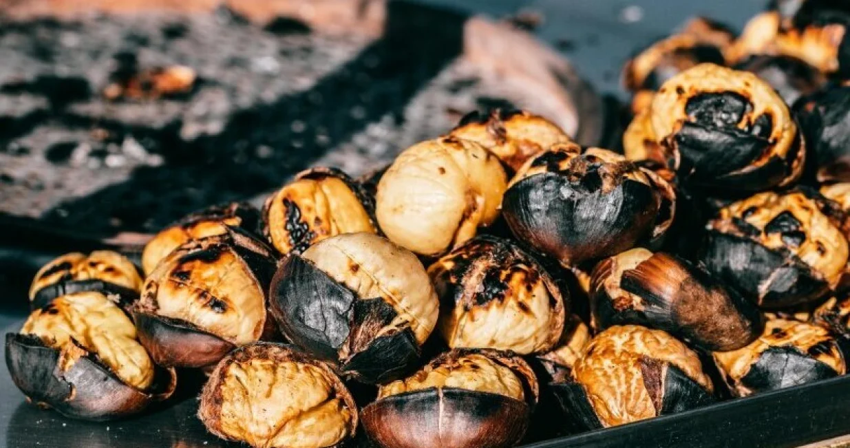 pečeno kestenje ilustracija/Screenshot