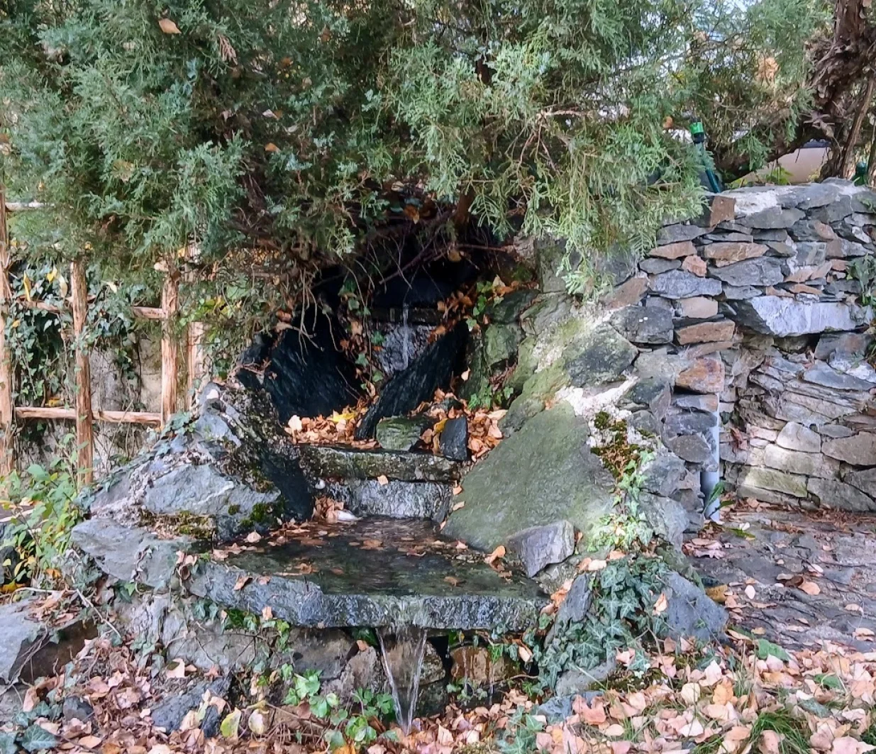 Potočić žubori - lišće lahori/