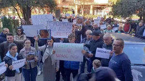 Protest, Goražde, napad psa lutalice na dječaka, vlast, reakcija/Elma Geca