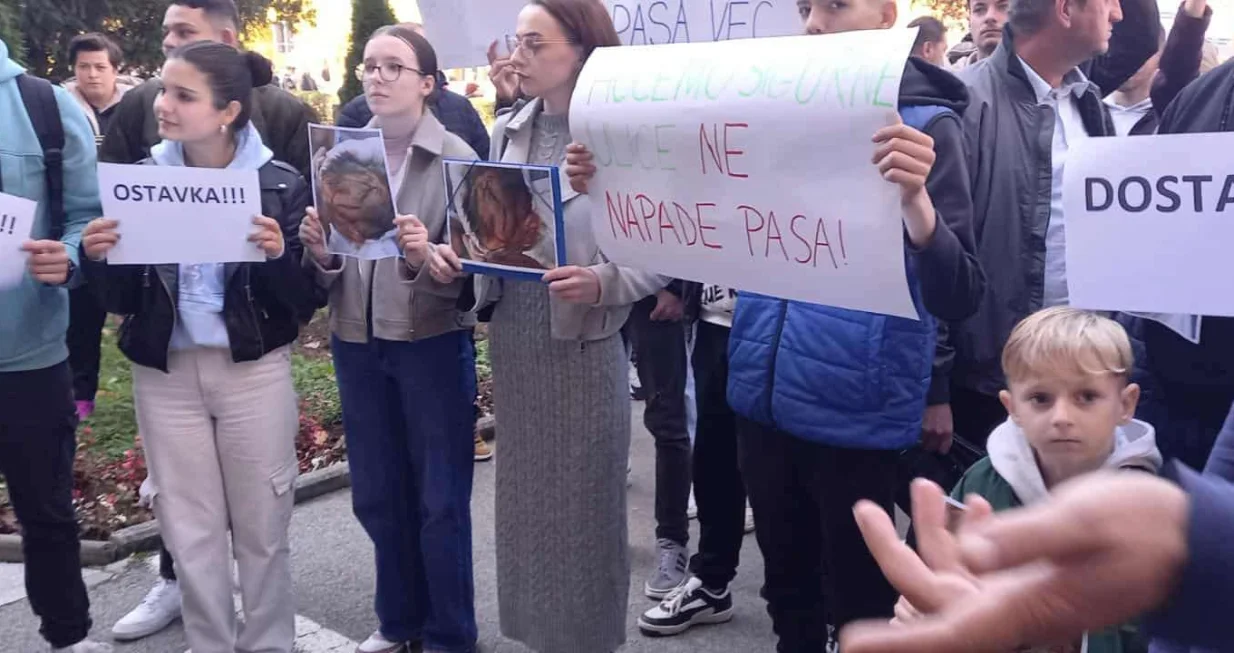 Protest, Goražde, napad psa lutalice na dječaka, vlast, reakcija/Elma Geca